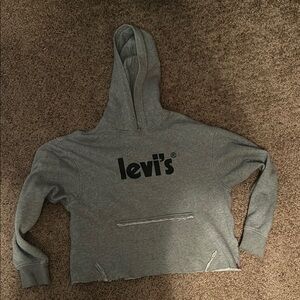Levi’s Cropped Hoodie